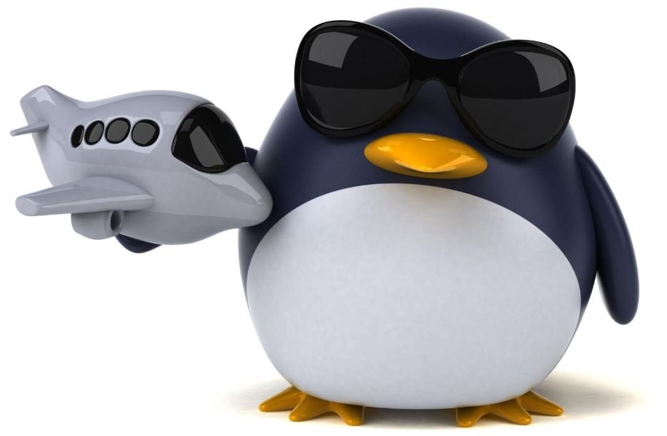 Google Penguin 2.0 ya está aquí